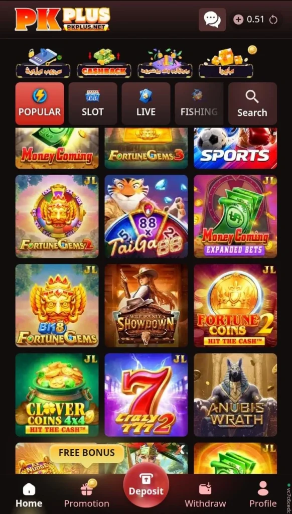 PKplus Game
